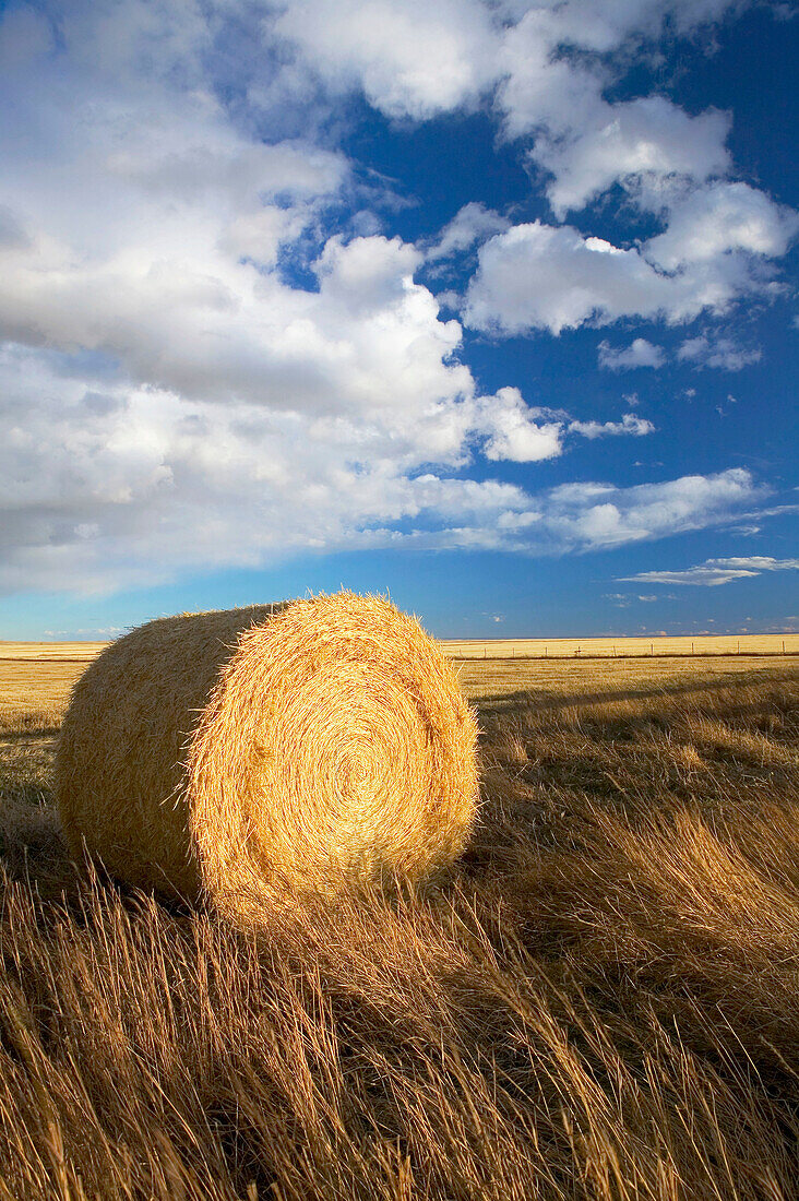Hay roll, landscape with dramatic sky. Stand Off. Alberta, Canada