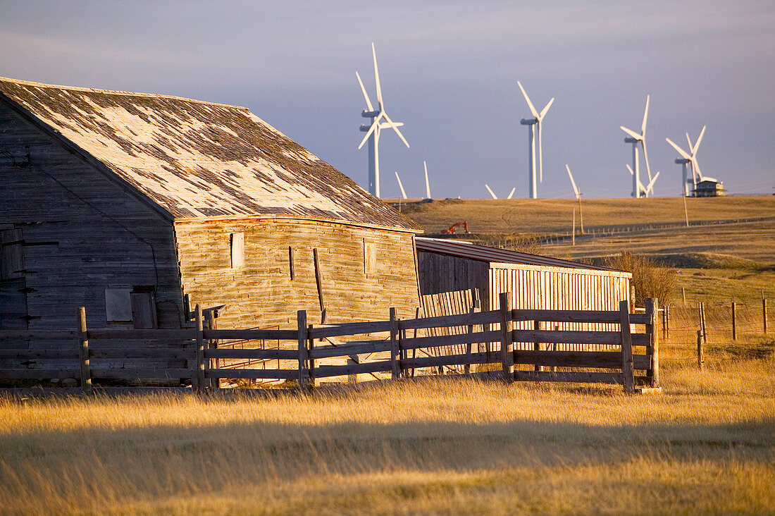 Cowley Ridge wind farm landscape with old ranch. Crowsnest Pass area. Alberta, Canada