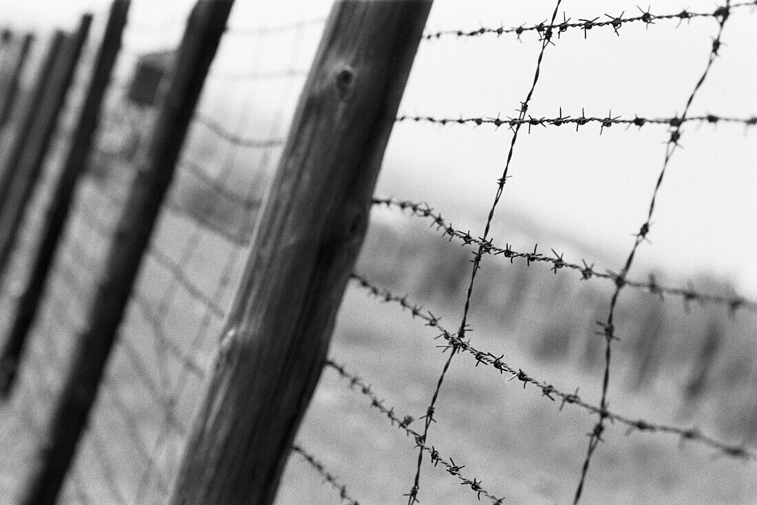 Barbed wire and guard towers at World War II Majdanek concentration and extermination camp. Lublin. Malopolska, Poland