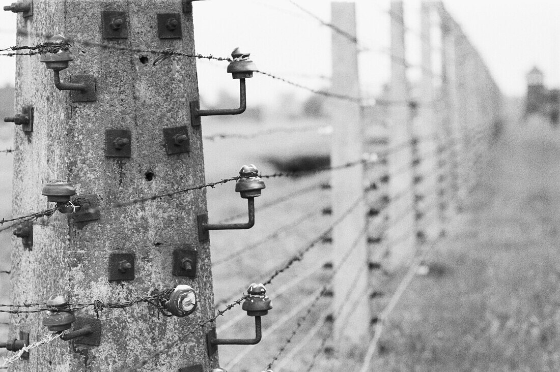 Barbed wire at World War II Auschwitz concentration and extermination camp. Oswiecim. Poland