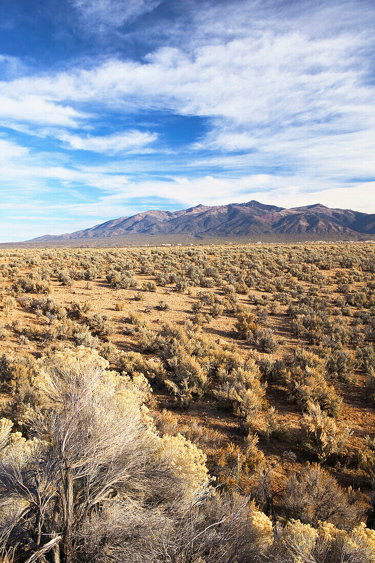Scrub brush landscape with the Sangre de Christo Mountains. Taos. New Mexico, USA