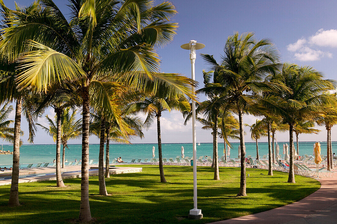 Bahamas, Grand Bahama Island, Lucaya: Our Lucaya Beach Resort, Westin Hotel, Beach front