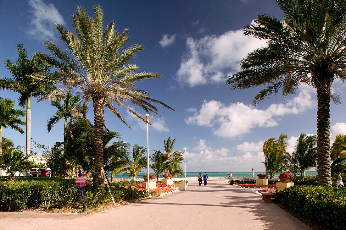 Bahamas, Grand Bahama Island, Lucaya: Our Lucaya Beach Resort, Beach Walks