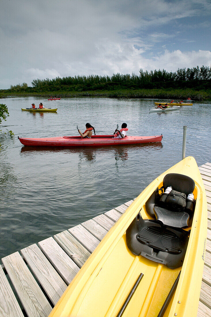 Bahamas, Grand Bahama Island, Eastern Side: Lucayan National Park, Gold Rock Creek, Kayaking (NR)