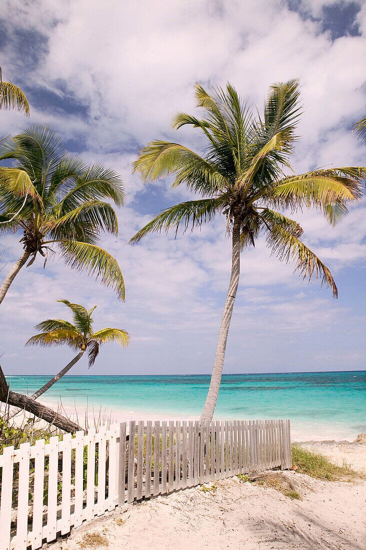 Bahamas, Abacos, Loyalist Cays , Elbow Cay , Elbow Cay, Hope Town: Hope Town Beach View
