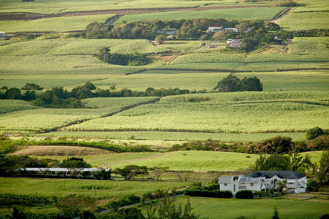 Barbados, St. George Parish: Morning Landscape View from Gun Hill Station