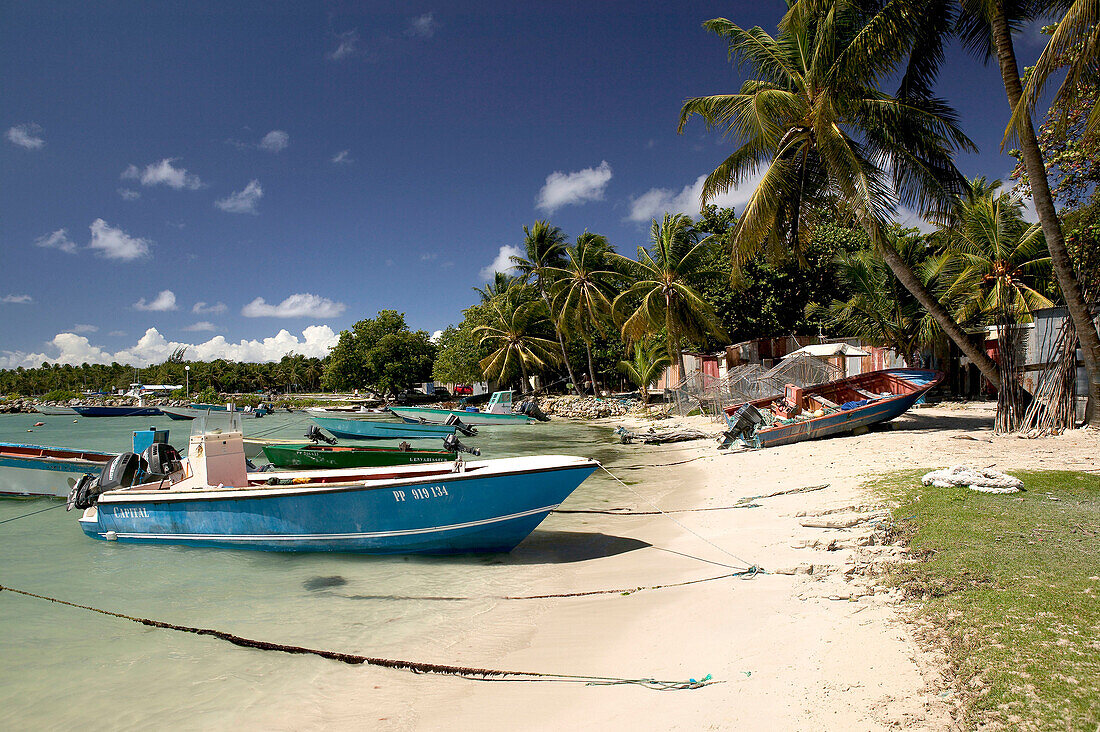 French West Indies (FWI), Guadeloupe, Grande Terre Island, Sainte-Anne: Caravelle Beach, Fishing Harbor