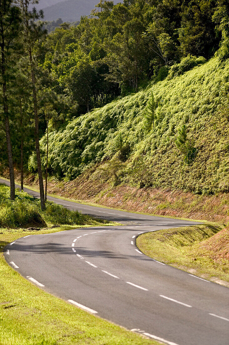 French West Indies (FWI), Guadeloupe, Basse-Terre, Route de la Traversee: Route de la Traversee (D 23), Highway across central Basse-Terre