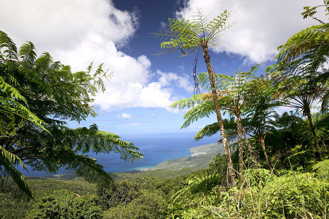 French West Indies (FWI), Guadeloupe, Basse-Terre, Route de la Traversee: Parc Nationale de la Guadeloupe: Mountain View over town of Pointe-Noire