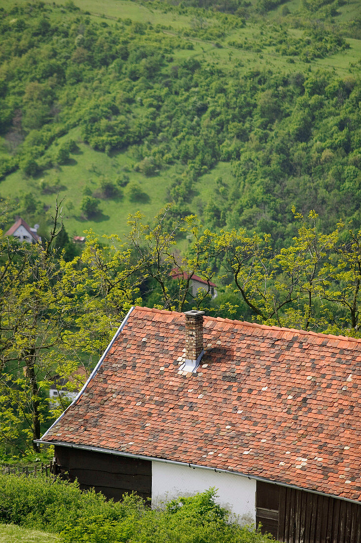 Visegrad Citadel (b.1259) - Caretaker s Cottage. Visegrad. Danube bend. Hungary. 2004.