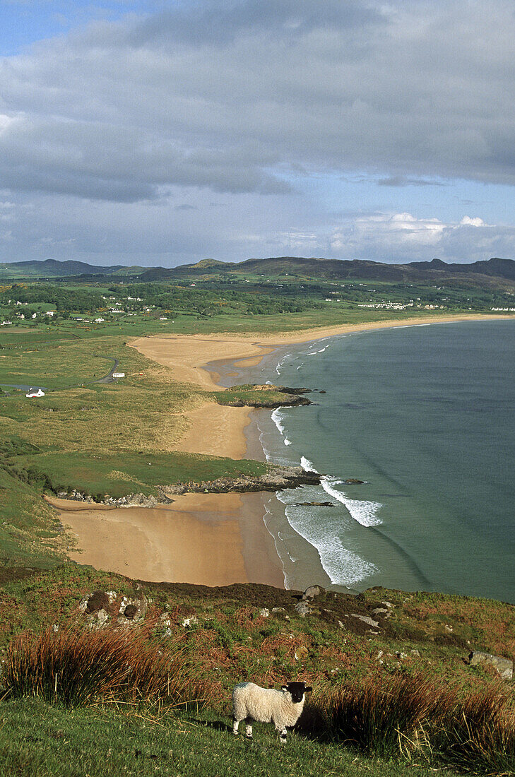 The Ballymacstocker Bay. Co. Donegal. Ireland.