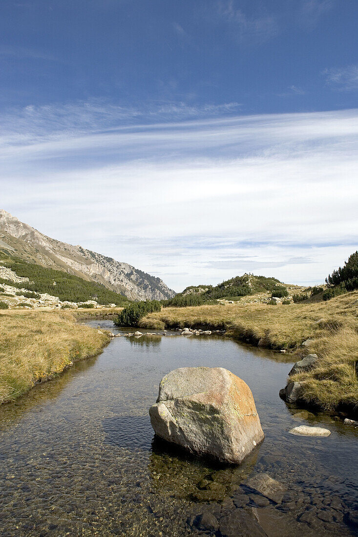 Pirin National Park. Bansko region, Bulgaria