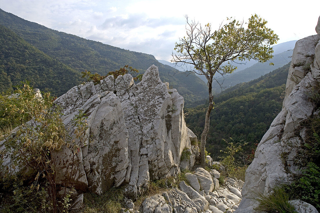 Tsar Ivan Asen’s Fortress (12th-13th century). Bulgaria