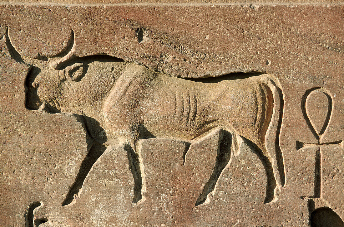 Bas-relief at Luxor Temple, Luxor. Egypt