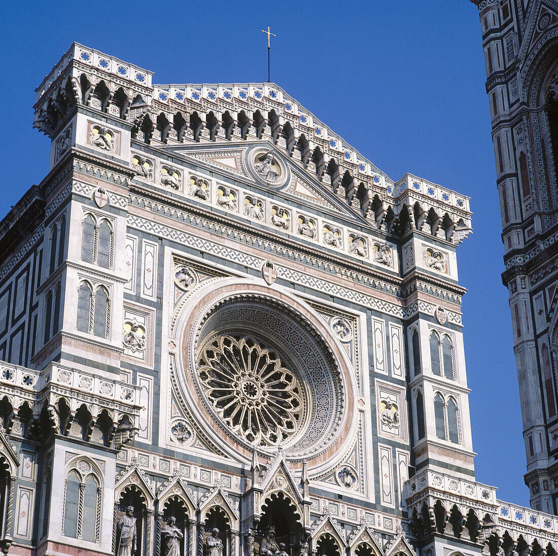 Santa Maria del Fiore cathedral dome. Florence. Italy