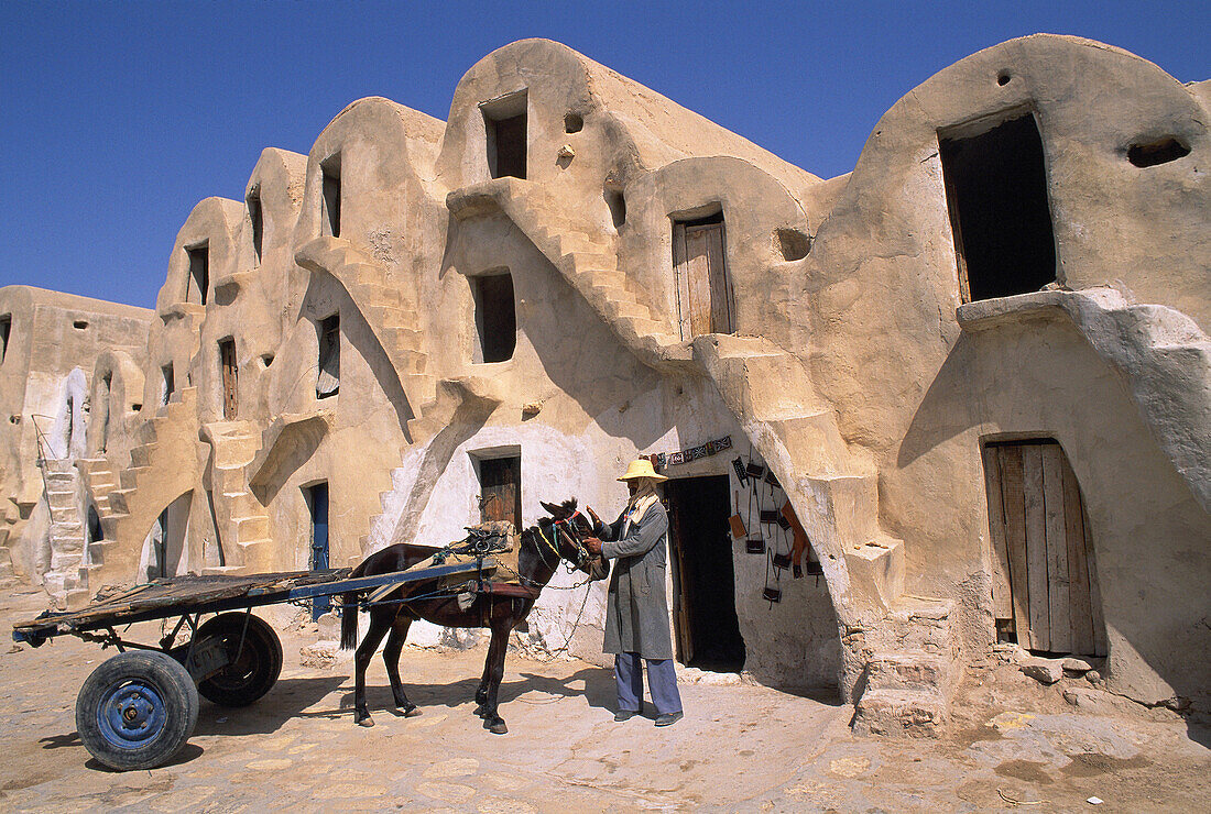 Ghorfas (granaries). Medenine. Tunisia
