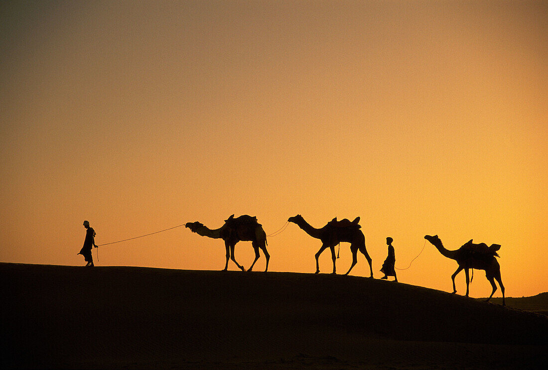 Rajasthan. India