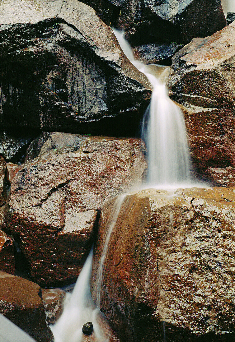 Waterfall Park. Seattle. Washington. USA