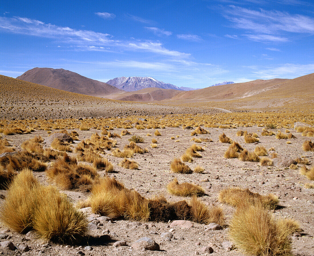 Atacama Desert. Chile