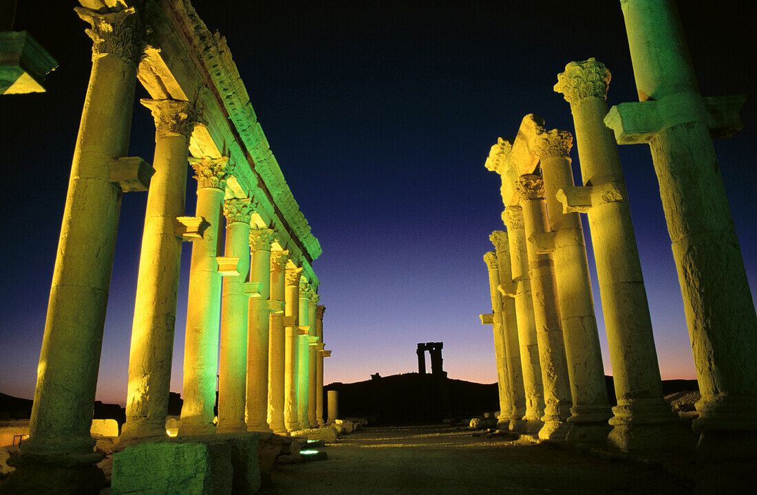 Greco-roman city. Palmira. Syria