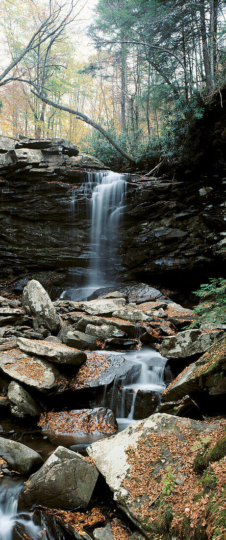 Middle Falls of Hills Creek with fallen autumn leaves