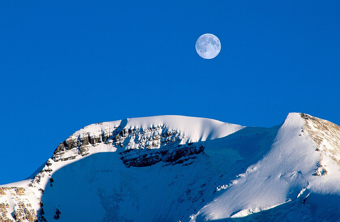 Moonrise and evening light on Mount Athabasca, Columbia Icefields Area, Canadian Rockies, Jasper National Park, Alberta, Canada