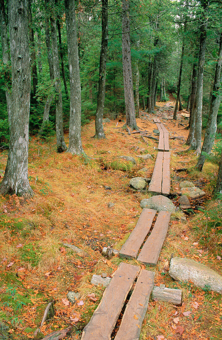 Jordan Pond Trail. Acadia NP. Maine. USA