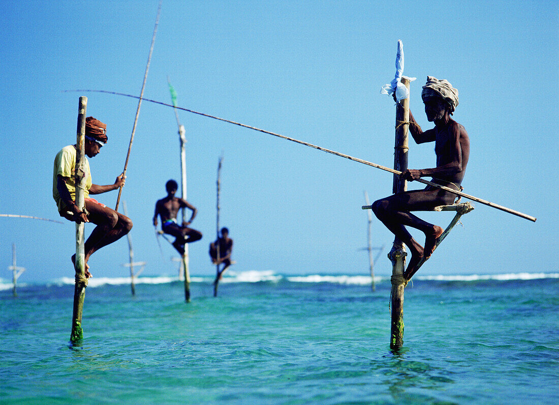Stilt-fishermen. Ahamgama. Sri Lanka