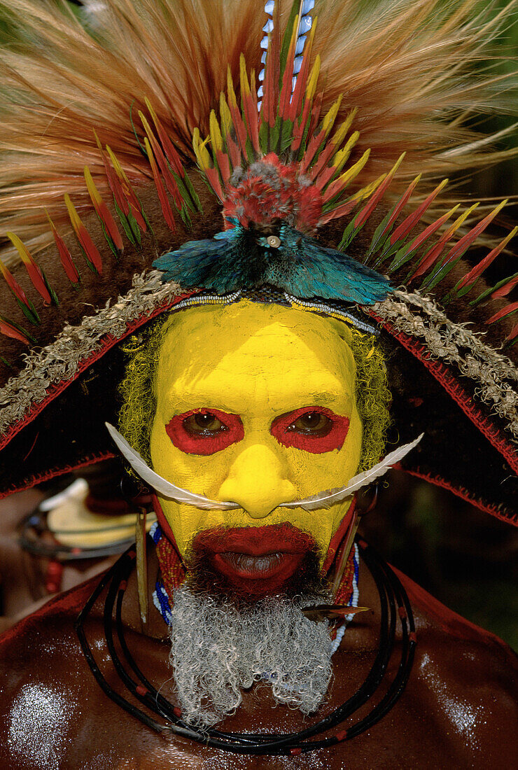 Huli tribesman at Sing-Sing celebration. Highlands. Papua New Guinea