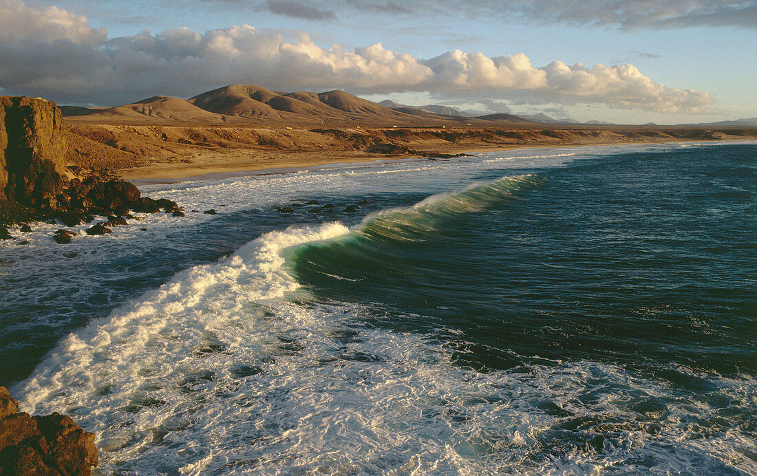 Fuerteventura. Canary Islands. Spain