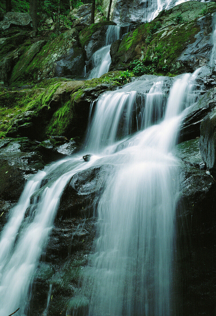 Whiteoak Falls. Shenandoah National Park. Virginia. USA