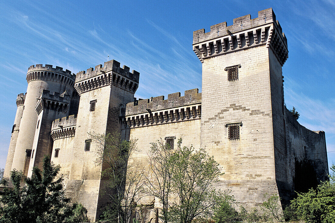 King René s Castle. Tarascon. Bouches-du-Rhône. Provence. France.