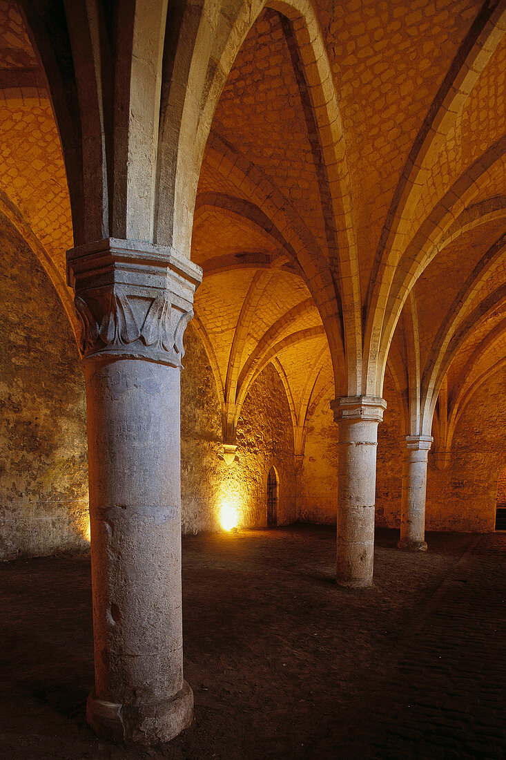 Castle & Museum. Boulogne-sur-Mer. Pas de Calais. France