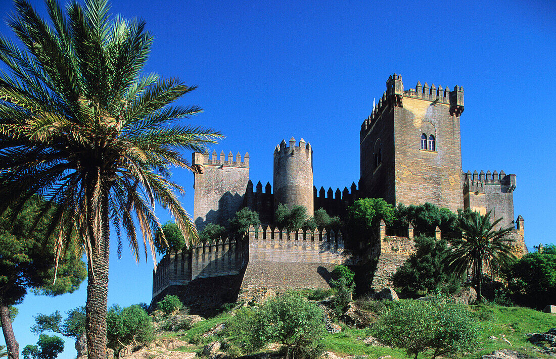 Castle. Almodóvar del Río. Córdoba province. Spain