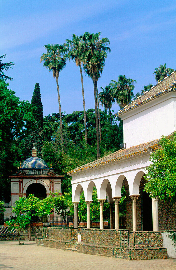 Gardens. Alcazar. Seville. Spain