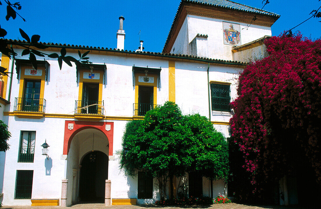 Casa Pilatos. Seville. Spain