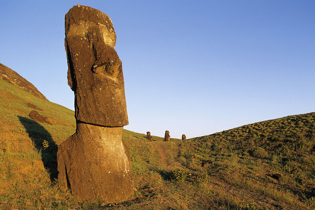 Moai quarry. Ranu Raraku. Easter Island. Chile.