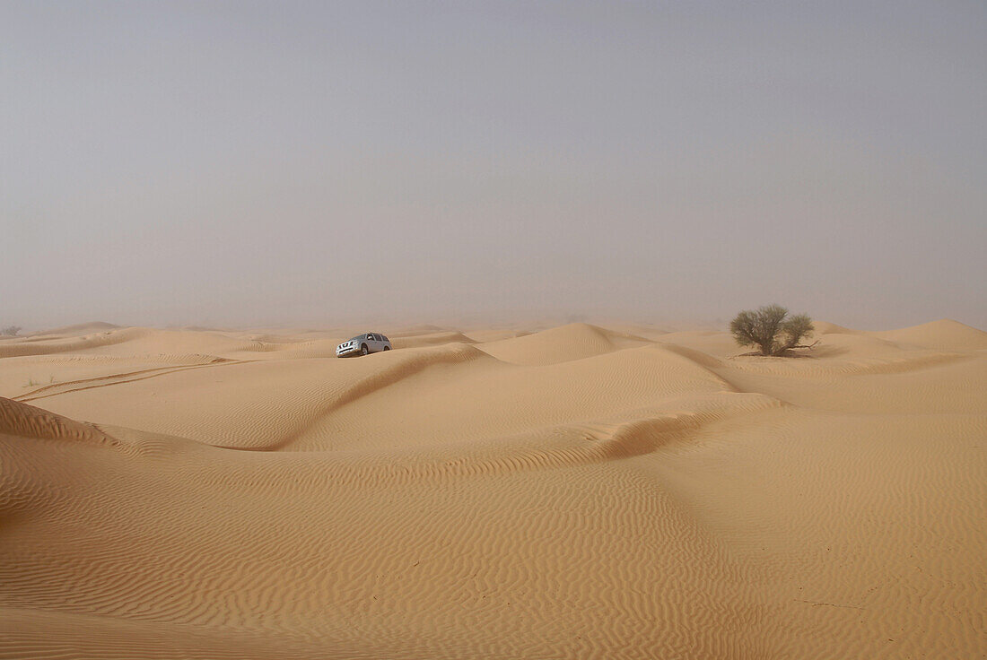 4x4 vehicle, jeep driving over sand dunes in the desert, Offroad 4x4 Sahara Desert Tour, Bebel Tembain area, Sahara, Tunisia, Africa, mr