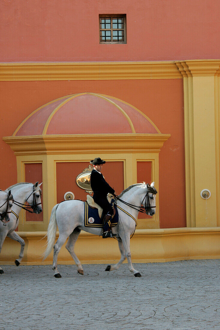 Mann zu Pferde, auf ein Pferd, Hotel Hacienda La Boticaria, Vega de Alcala de Guadaira, In der Nähe von Sevilla, Andalusien, Spanien, Europa