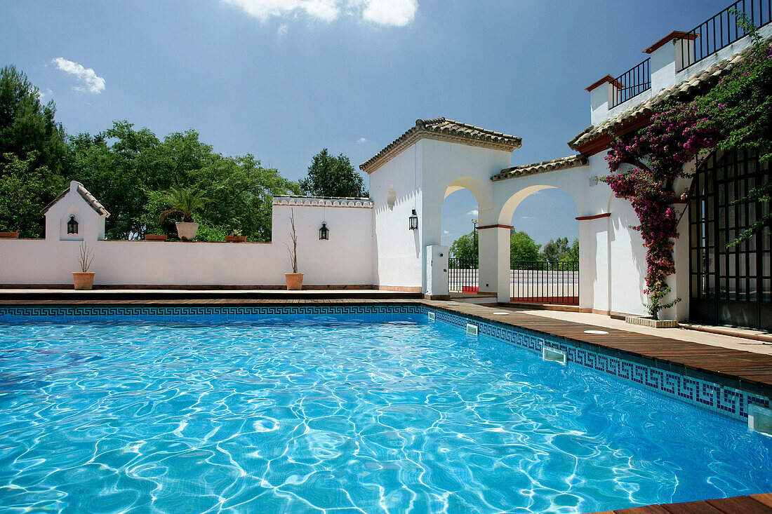 Pool, Schwimmbecken im Gutshof, Hacienda El Vizir, in der Nähe von Sevilla, Andalusien, Spanien, Europe