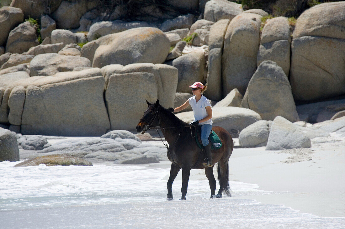 A woman riding a horse on the beach, Sandy Bay Beach, Cape Town, South Africa, Africa