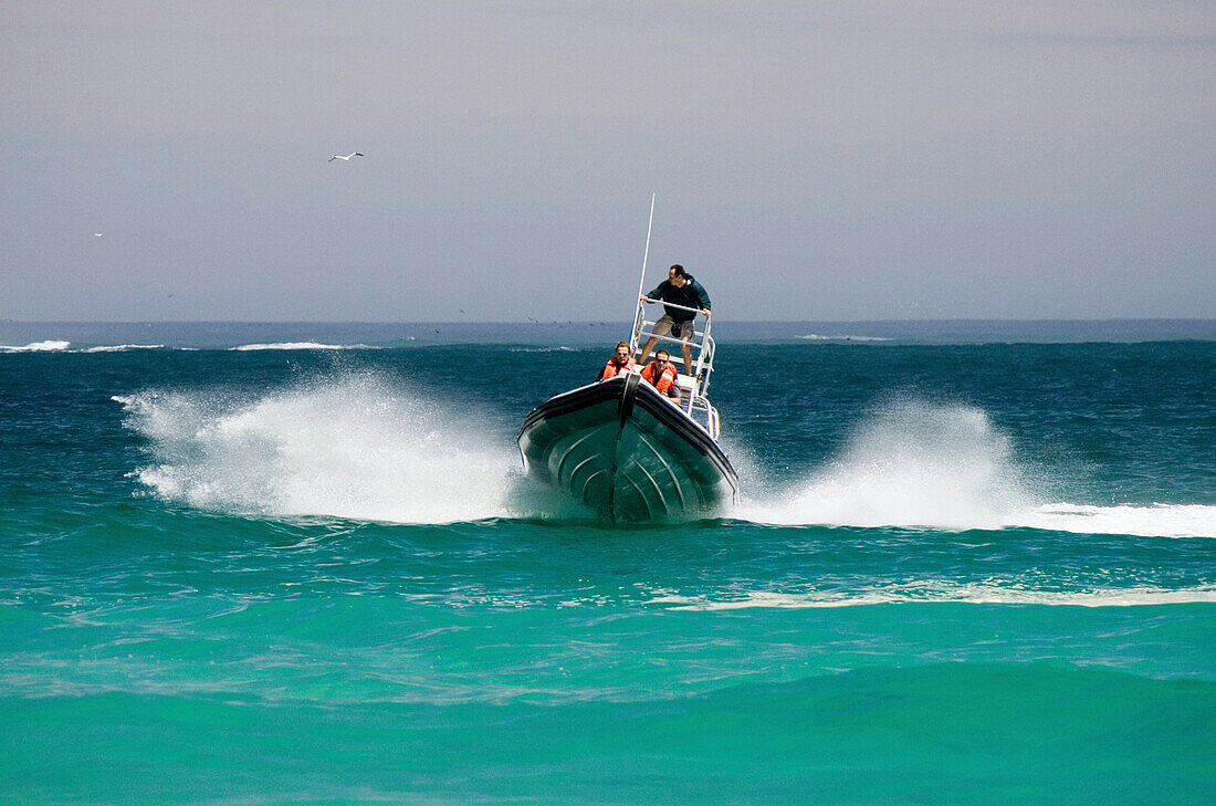 Leute fahren in einem Schnellboot entlang der Küste, Sandy Bay, Kaptstadt, Südafrika