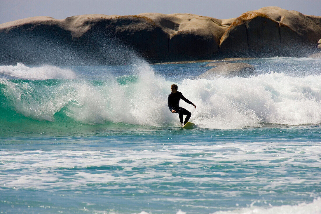 Surfer riding the waves, Sandy Bay Beach, Cape Town, South Africa, Africa