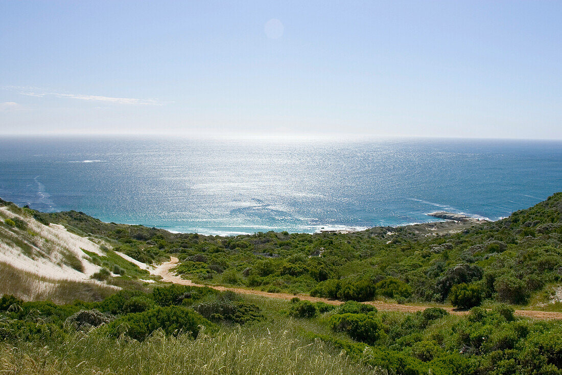 View of Sandy Bay Beach, Cape Town, South Africa, Africa