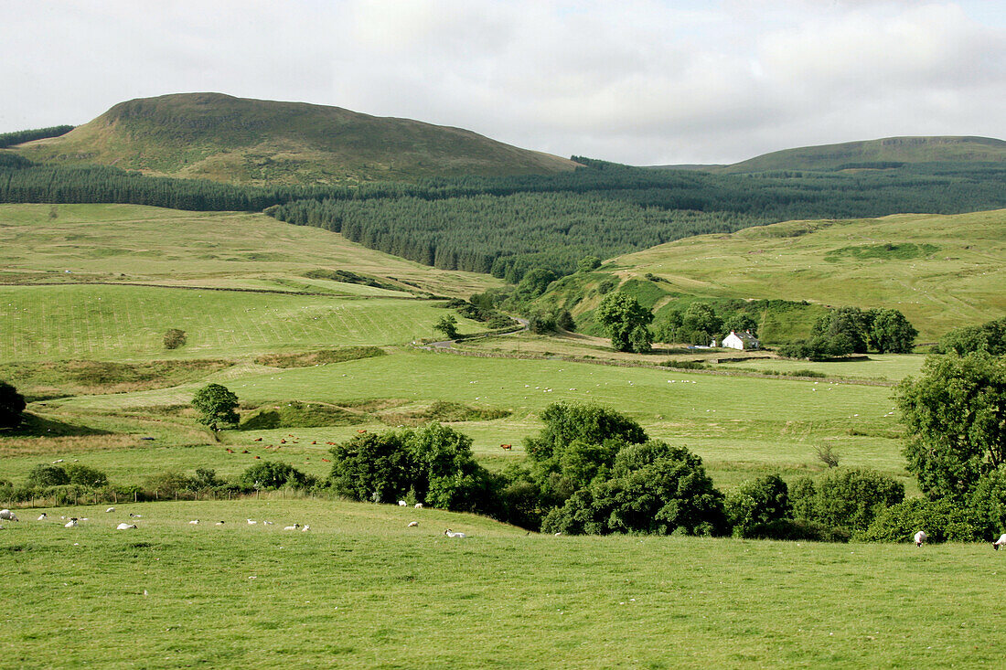 Landscape near Loch Ard, Southern Highlands, Scotland, Great Britain, Europe