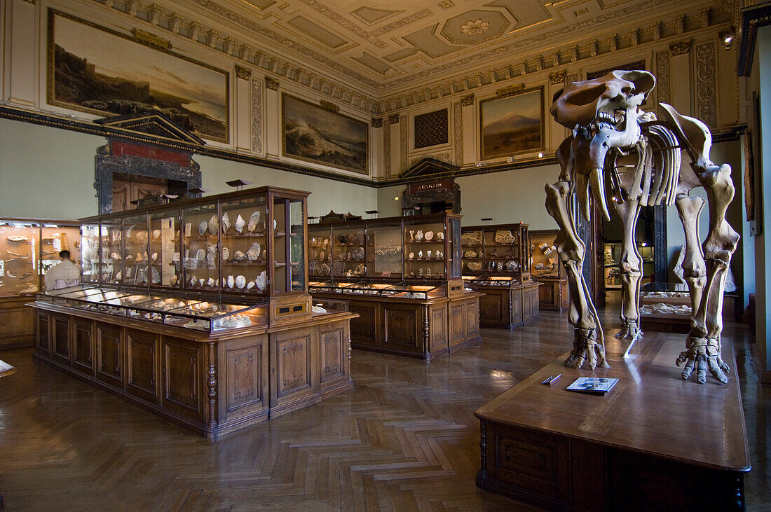 Innenansicht, Naturhistorischen Museum, Museumsquartier, Wien, Österreich