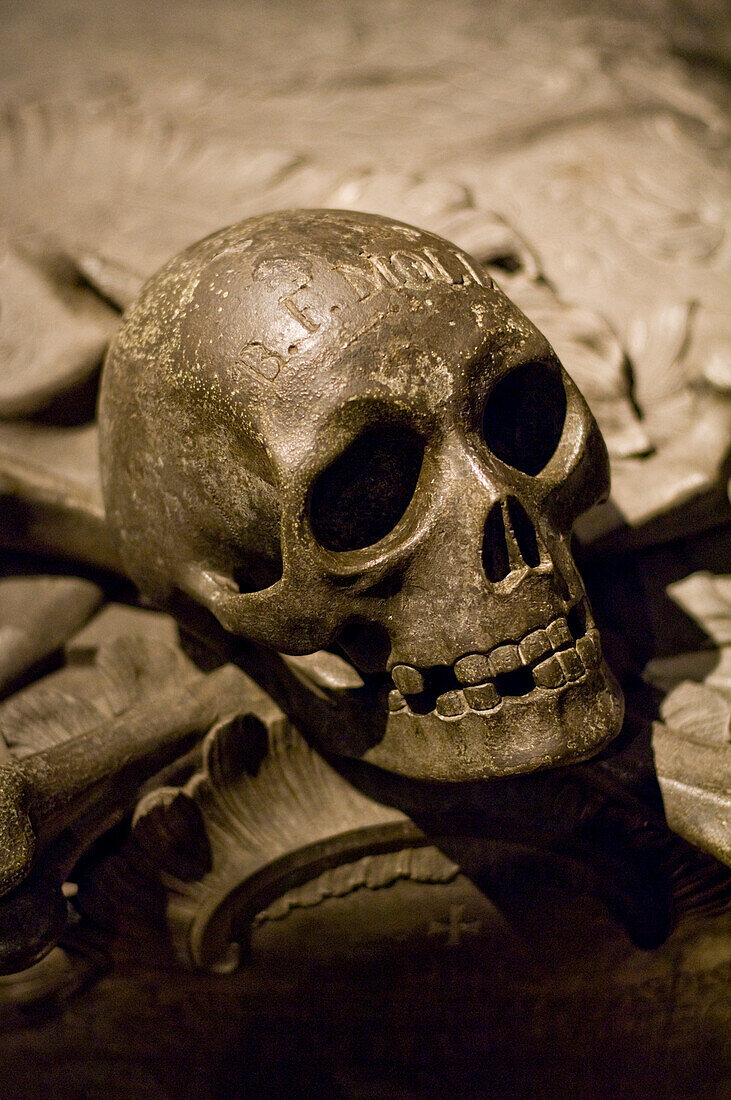 Totenkopf in der Kaisergruft, Kapuziner Kirche, Kirche zur Heiligen Maria von den Engeln, Wien, Österreich