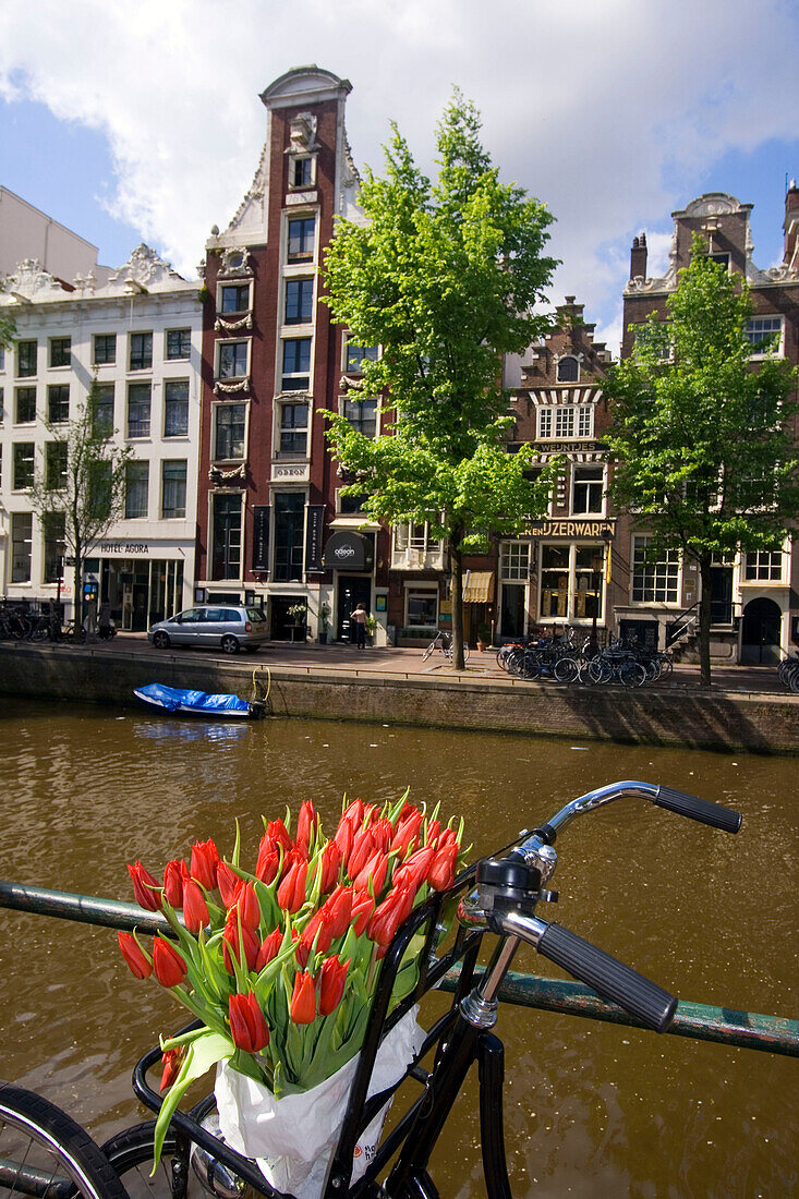 Amsterdam Single Gracht Fahrrad mit Tulpen