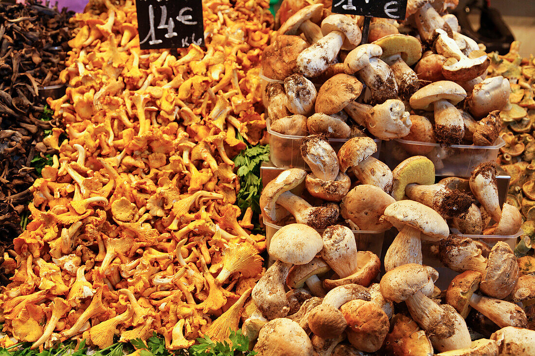Barcelona, Ramblas,  Mercat de Sant Josep, La Boqueria market, mushrooms