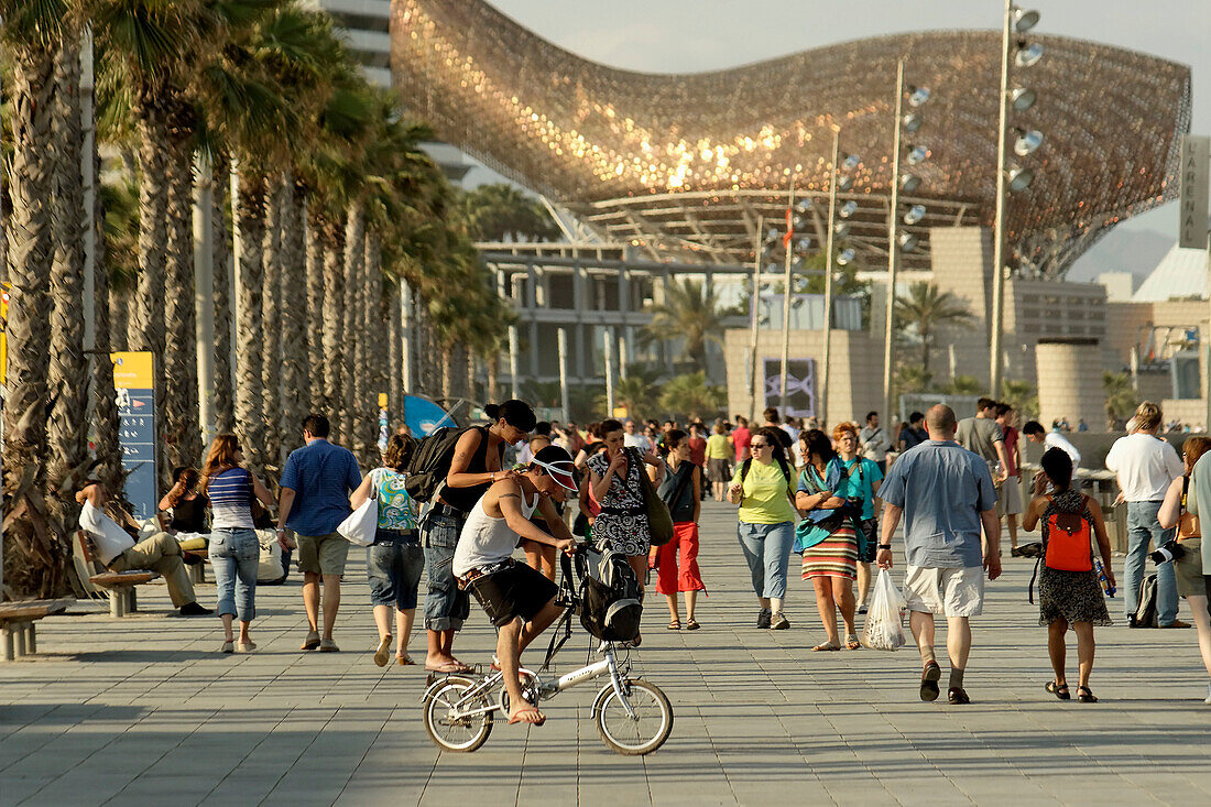 Spain Barcelona beach Platja de la Barceloneta, promenade, people, background fish sculture by Frank Gehry